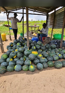 Afbeelding met buitenshuis, grond, kleding, persoon

Door AI gegenereerde inhoud is mogelijk onjuist.