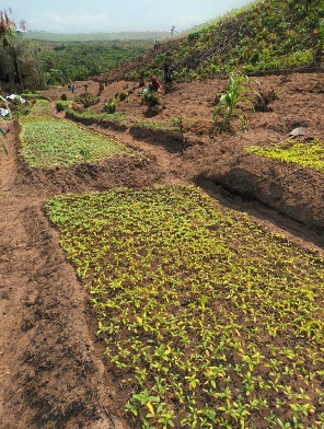 Afbeelding met buitenshuis, hemel, gras, aarde

Door AI gegenereerde inhoud is mogelijk onjuist.