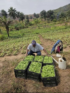 Afbeelding met buitenshuis, hemel, landbouw, persoon

Door AI gegenereerde inhoud is mogelijk onjuist.