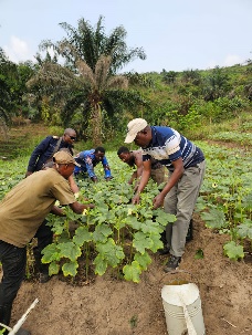 Afbeelding met buitenshuis, kleding, persoon, aarde

Door AI gegenereerde inhoud is mogelijk onjuist.