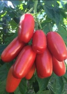 Afbeelding met produceren, groente, Natuurlijke voeding, Veganistische voeding Door AI gegenereerde inhoud is mogelijk onjuist.